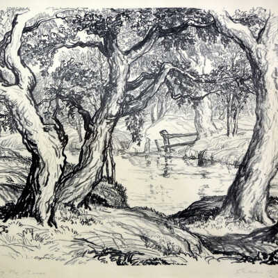 Trees By The River