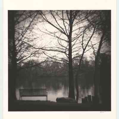 Bench, Town Lake