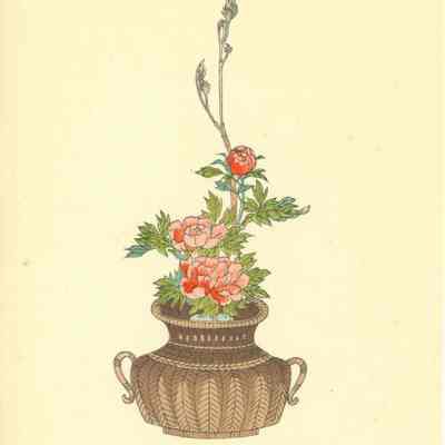 untitled botanical print (Plate 67)