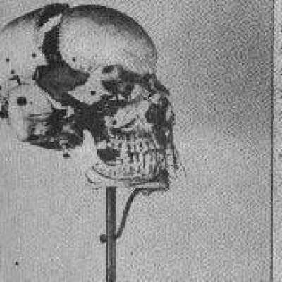 Human Skull (Model 2)