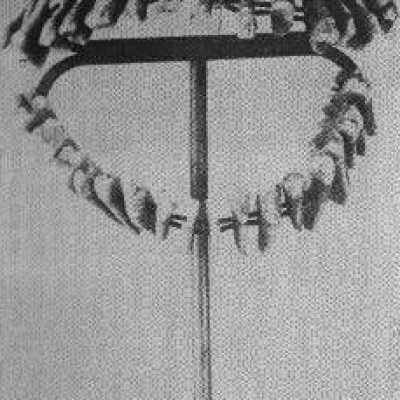 Human Teeth