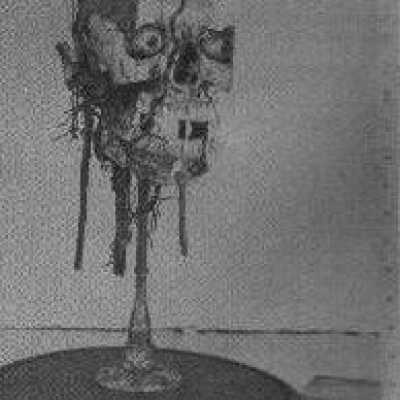 Human Head (Model 2)