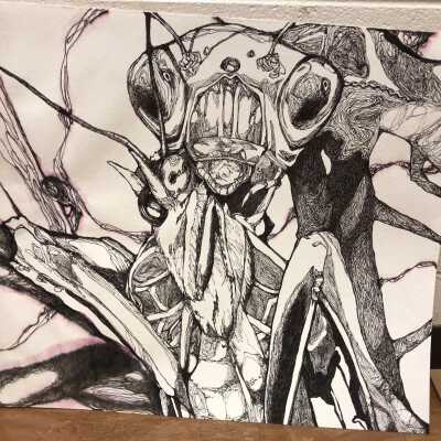 Predation Series #3