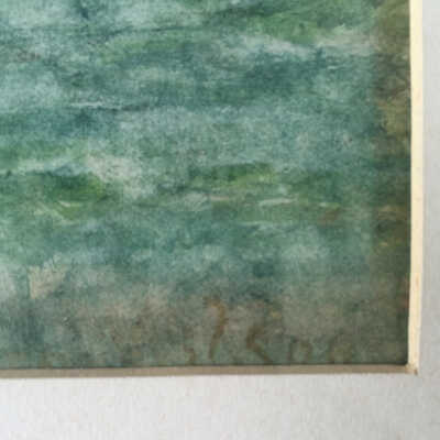 Wilson - Spring Field - signature