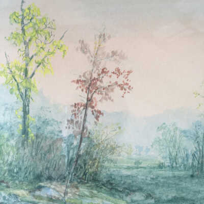 Wilson - spring Field - detail