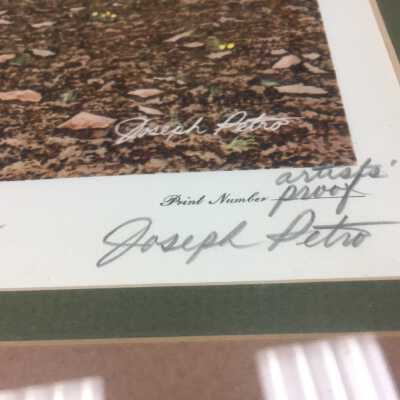 Petro - Breaking Ground  - signature