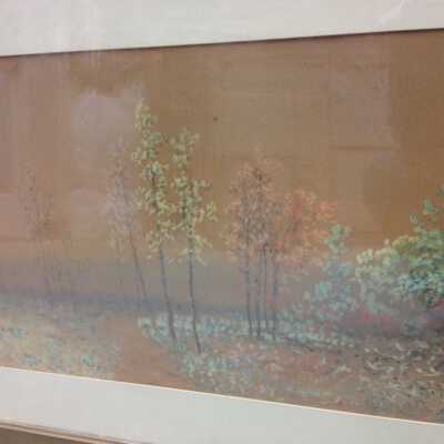 Spring Landscape
