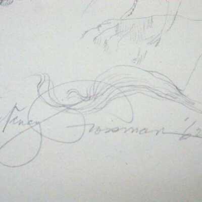 Grossman - Lions  - signature