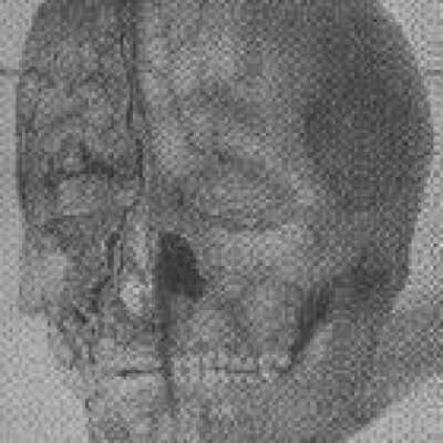 Human Head (Model 1)