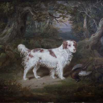 Dog with Pheasent