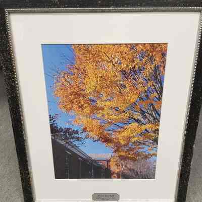 Library in Fall - photo