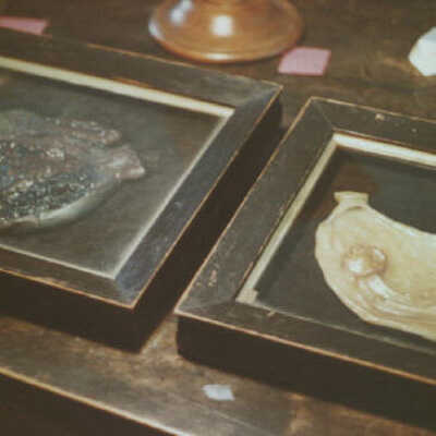 Stomachs in Wax (2 examples)