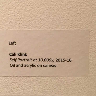 Cali Klink - Self Portrait at 10,000x  - wall tag