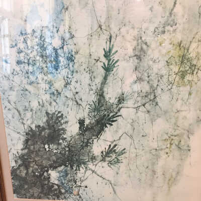 Luxuriance of Pines
