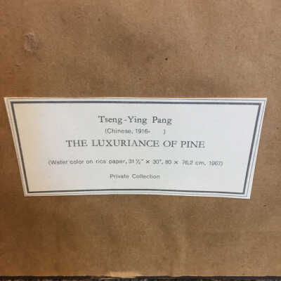 Tseng-Yin Pang - Luxuriance of Pines - label on back