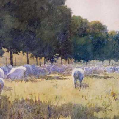 The Meadow