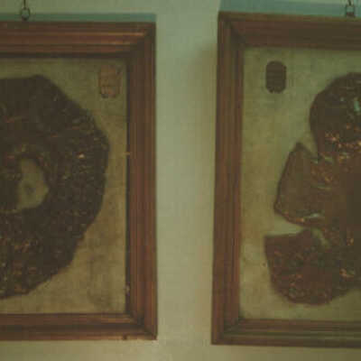 "Books" of Pathological Anatomy - 3r