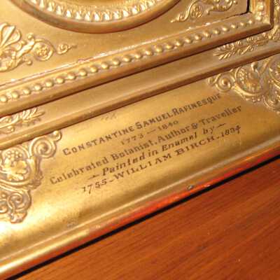 Birch - Rafinesque frame detail 2
