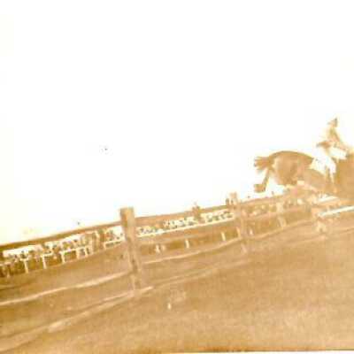 Horse jumping