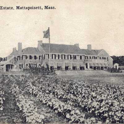 Postcard