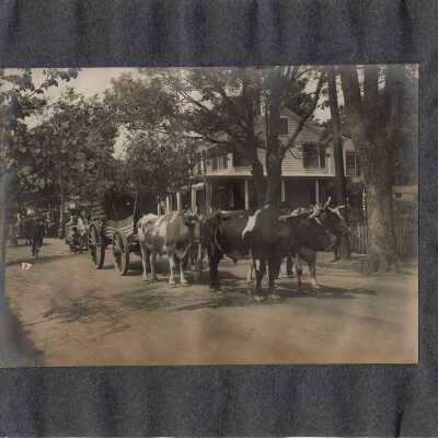 Print, Photographic