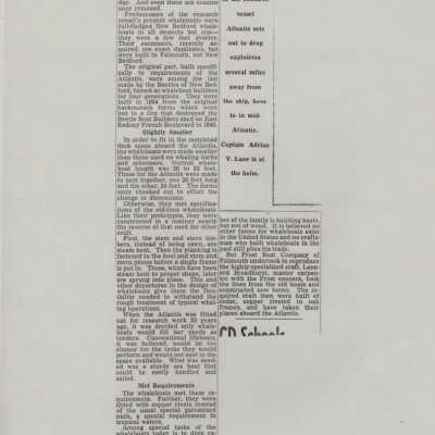 Newspaper
