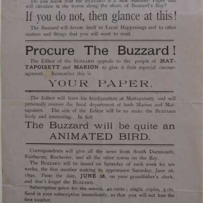 The Buzzard