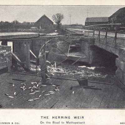 Postcard