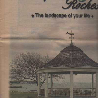 Newspaper