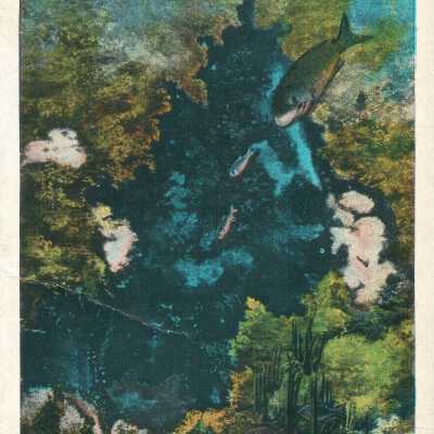 Postcard