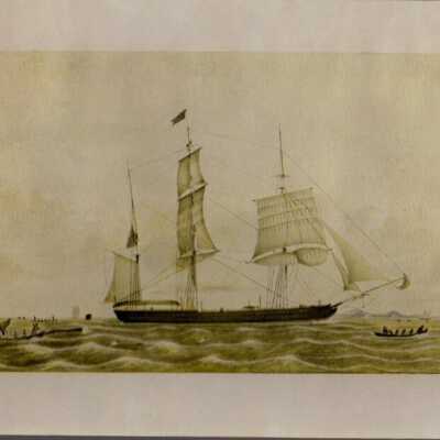 Drawing