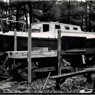Digital Photograph
