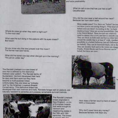 Pamphlet