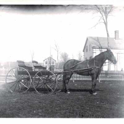 Print, Photographic