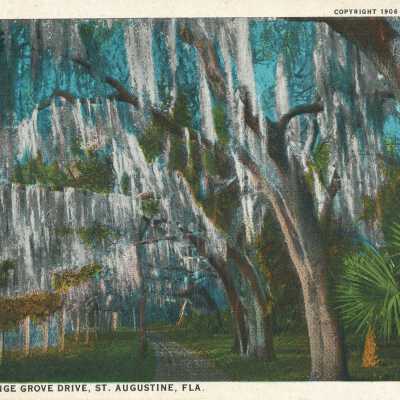 Postcard