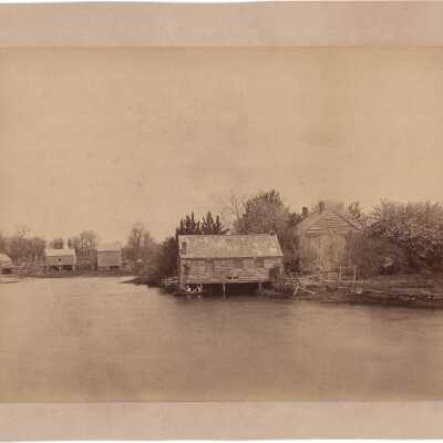 Print, Photographic