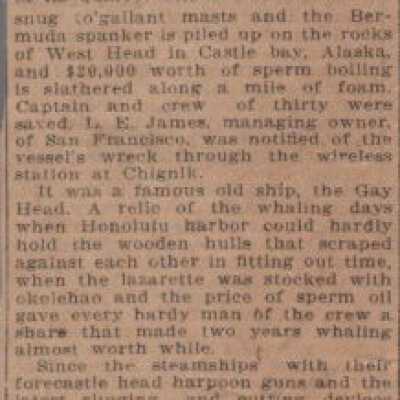 Newspaper