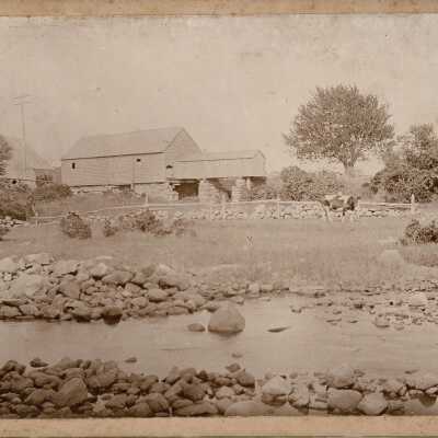 Print, Photographic