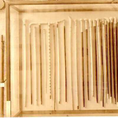 Scrimshaw canes