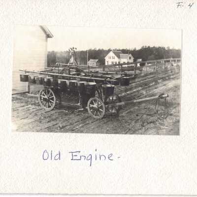 Print, Photographic