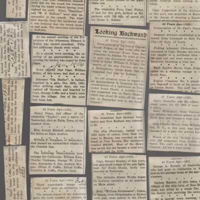 Newspaper