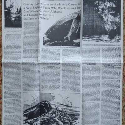Newspaper