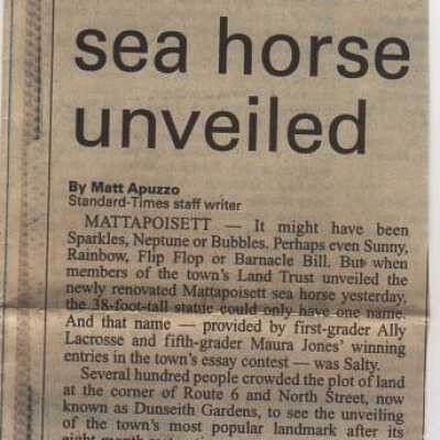 Newspaper