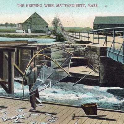 Postcard