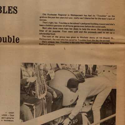 Newspaper
