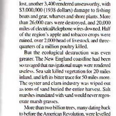 Hurricane 1938, revisited 1999