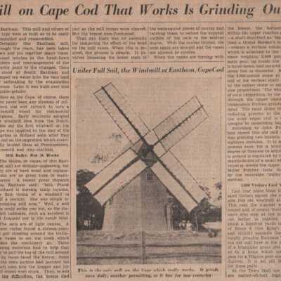 Newspaper