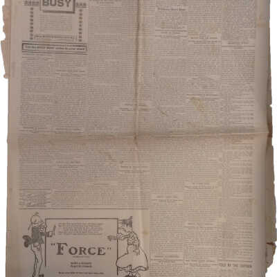 Newspaper