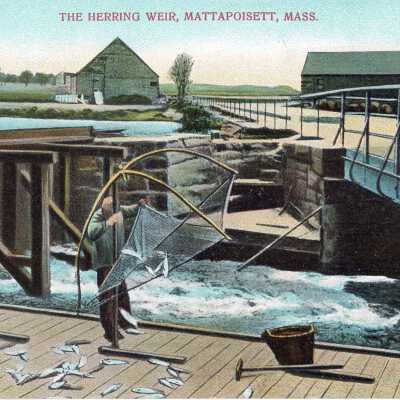 Postcard