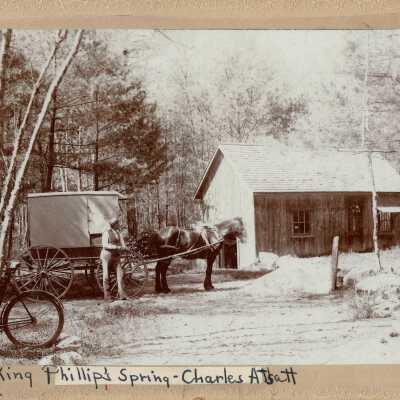Print, Photographic